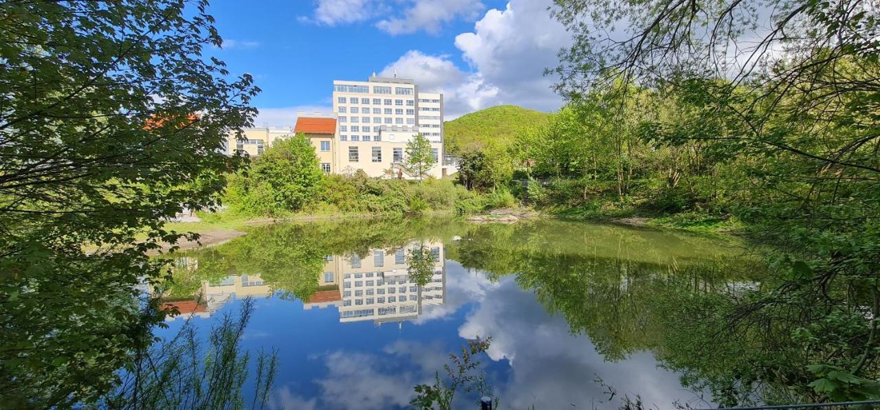 Hasseroeder Burghotel Wernigerode Kültér fotó