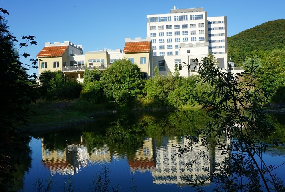 Hasseroeder Burghotel Wernigerode Kültér fotó
